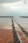 Бургас - 40-ти рожден ден на Атанасовското езеро