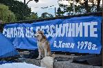 Тридесет и девети ден на антиправителствени протести