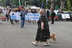 София - Блокада на ЦИК
