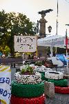 София - Антиправителствени протести