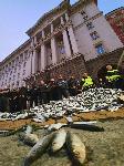 Четиридесет и осми ден на антиправителствени протести