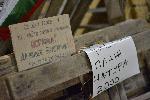 София - Антиправителствени протести