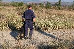 Дупница - Издирвателни мероприятия заради изчезналия Янек Миланов