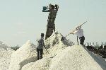 Започна добивът на сол в "Черноморски солници" в Бургас
