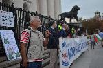 София - Антиправителствени протести