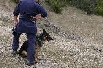 Якоруда - Издирване на изчезнало дете