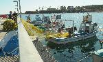 Ахтопол - Рибари - Улов