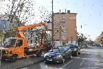 Софиия - Монтиране на коледна украса