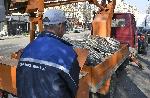 Софиия - Монтиране на коледна украса