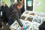Двойно пада цената на чернокопа на пазара в Бургас