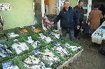 Бургас – Двойно пада цената на чернокопа на пазара в Бургас
