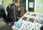 Бургас – Двойно пада цената на чернокопа на пазара в Бургас