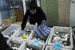 Бургас – Двойно пада цената на чернокопа на пазара в Бургас