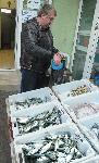 Бургас – Двойно пада цената на чернокопа на пазара в Бургас