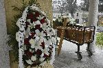 София - Поколонение пред футболния треньор Никола Спасов
