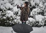 София - Първи сняг