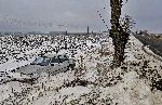 Варна - Катастрофа