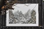 СОФИЯ - Италиански културен институт - Отваряне на изложба на открито Natur.ae/DOLOMITI на италианския фотограф Густав Вилайт