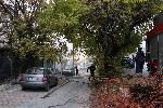 Варна - Пожар