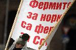 София - Протест с искане за затваряне на фермите за норки