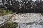 Приток на река Искър излезе от коритото си при кв.Курило в София