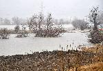 София - Наводнение - Требич