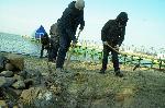 Доброволци почистиха затревения плаж в парк "Росенец"