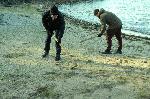 Бургас - Почистване на плажа в парк "Росенец"