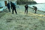 Бургас - Почистване на плажа в парк "Росенец"