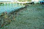 Бургас - Почистване на плажа в парк "Росенец"