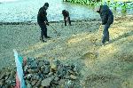 Бургас - Почистване на плажа в парк "Росенец"