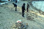 Бургас - Почистване на плажа в парк "Росенец"