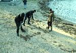 Бургас - Почистване на плажа в парк "Росенец"