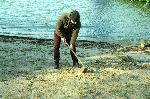 Бургас - Почистване на плажа в парк "Росенец"