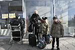 София - Европейска квалификация - Волейбол - Завръщане