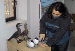 Бургас - Изложба - Музей