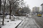 София - Разрушаване на незаконен гараж - Квартал Младост 4