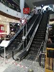 София - МОЛ - COVID-19