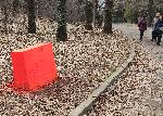 София -  Боядисана плоча в Южен парк
