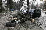 София -  Катастрофа