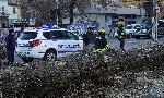 Хасково - Паднала топола - Силен вятър