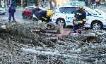 Хасково - Паднала топола - Силен вятър