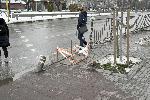 София – Инцидент - Токов удар - Загинал младеж - Цветя