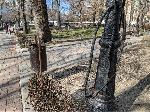 Варна - Необезопасени електрически кабели
