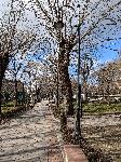 Варна - Необезопасени електрически кабели
