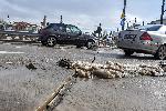 София  - Лъвов мост