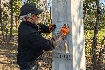 За пореден път разрушиха гроб-паметник в Морската градина във Варна