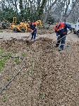 Поставят видеонаблюдение в Морската градина на Варна