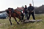 с. Антоново, Горна Малина - Тодоровден