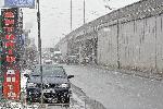 София - Симеоновско шосе - убийство на Николай Дракополов - Втори оглед